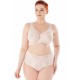 Honey H36-17